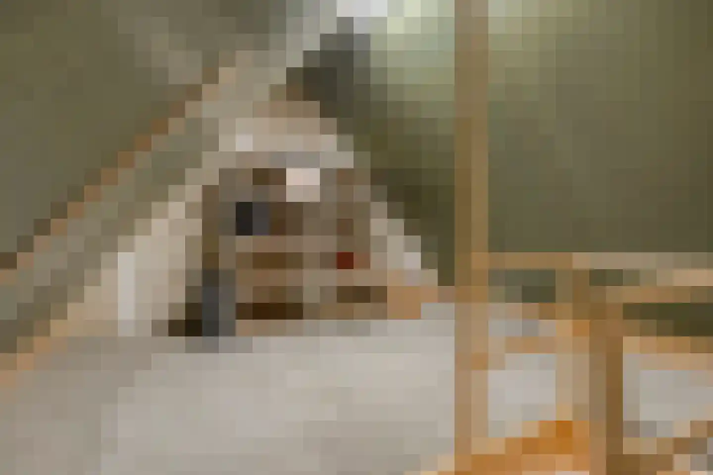 Dorsweg 16 Lemele thumbnail 29