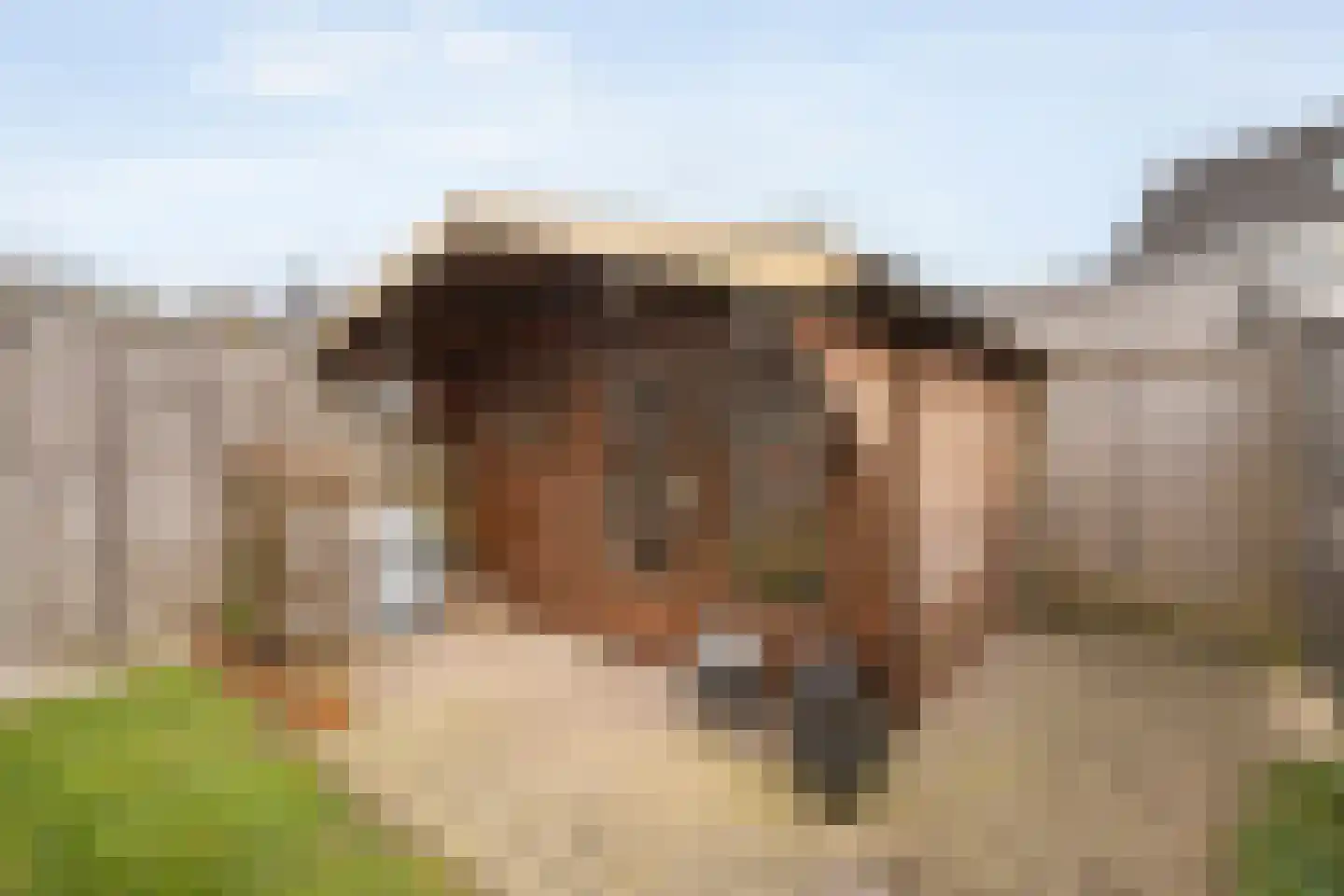 Dorsweg 16 Lemele thumbnail 34