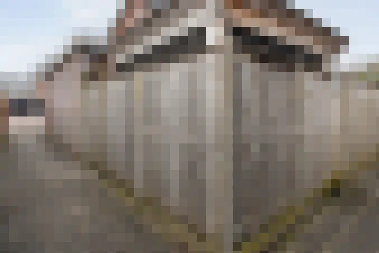 Dorsweg 16 Lemele thumbnail 37