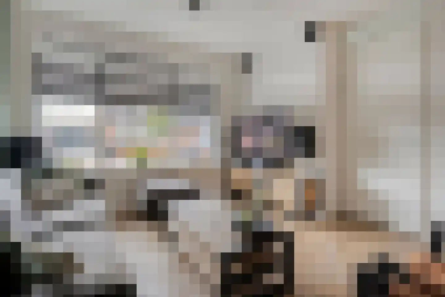 Dorsweg 16 Lemele thumbnail 8