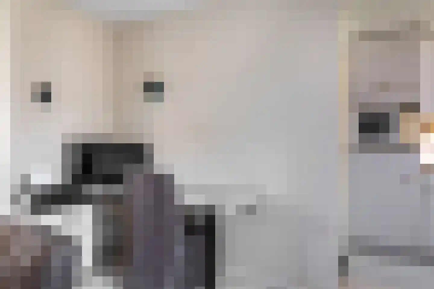Dortantsstraat 12 Eygelshoven thumbnail 8