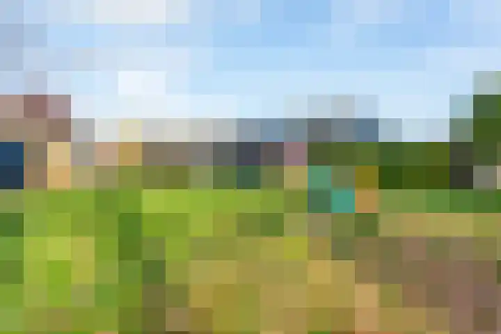 Dorth 21 Roden thumbnail 30