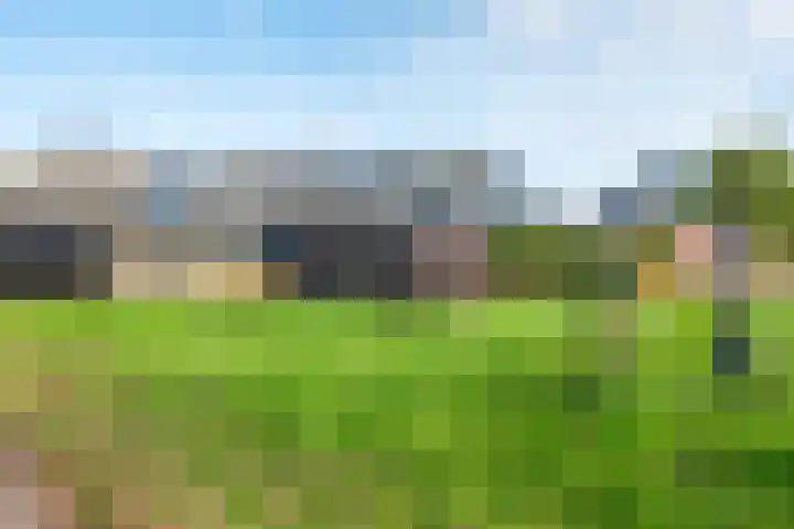Dorth 21 Roden thumbnail 32