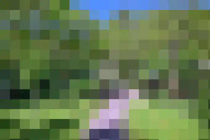 Dortherdijk 3 b Joppe thumbnail 20