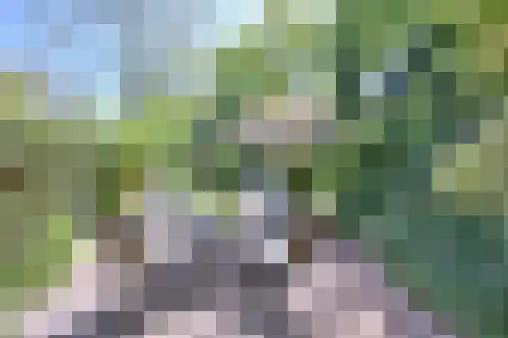 Dortherdijk 3 b Joppe thumbnail 21
