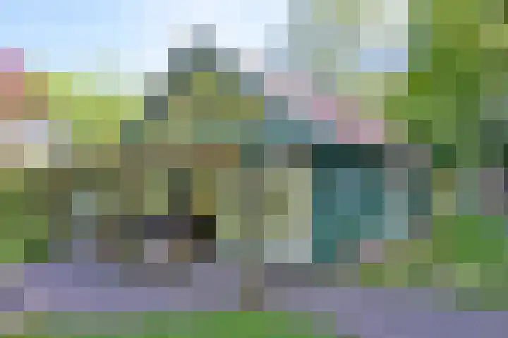 Dortherdijk 3 b Joppe thumbnail 24