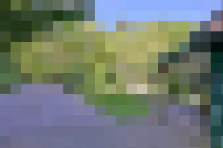 Dortherdijk 3 b Joppe thumbnail 25