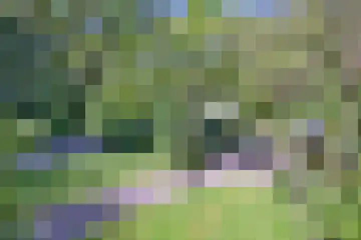 Dortherdijk 3 b Joppe foto 3