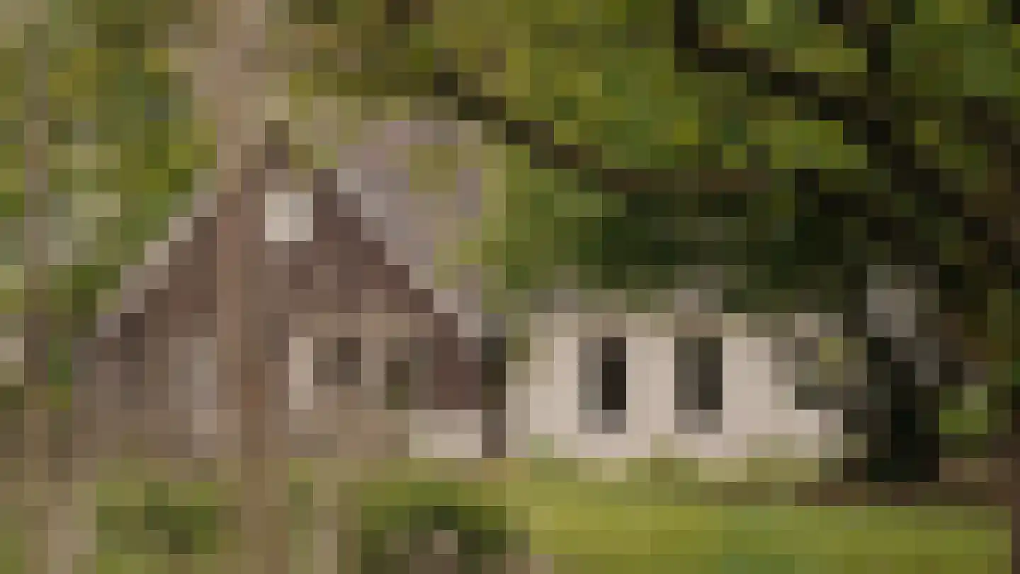 Dortherweg 39 Epse