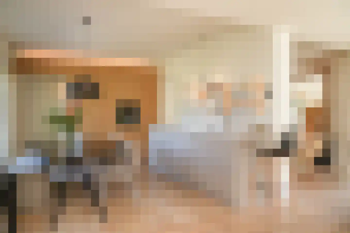 Dortherweg 39 Epse thumbnail 13