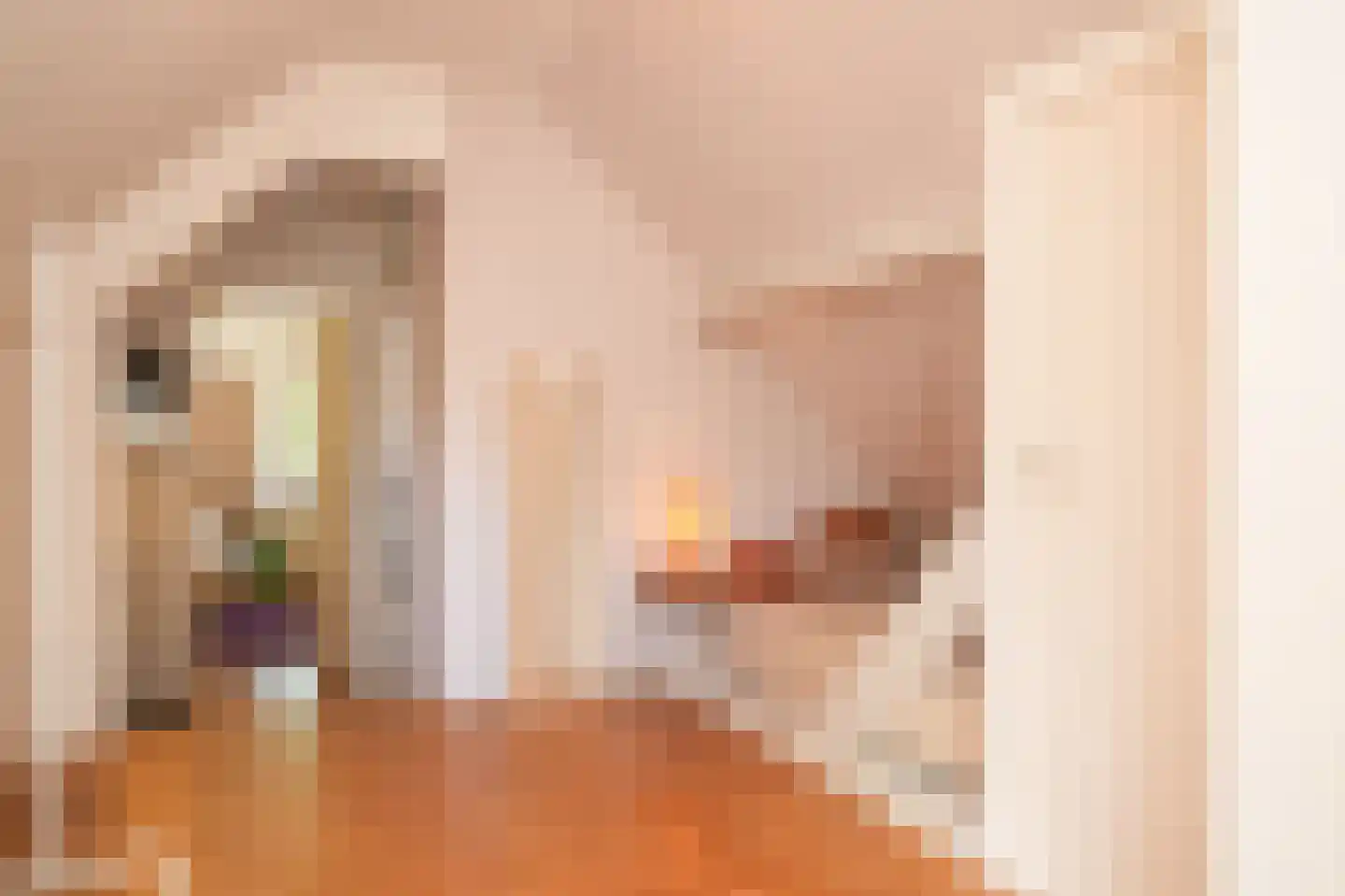 Dortherweg 39 Epse thumbnail 28