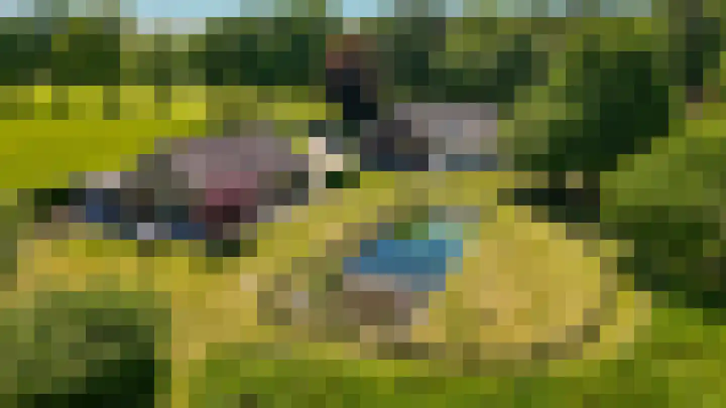 Dortherweg 39 Epse thumbnail 4