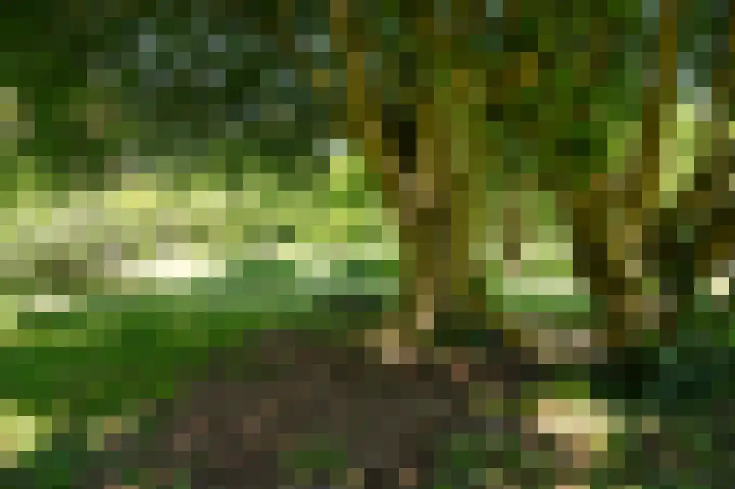 Dortherweg 39 Epse thumbnail 41
