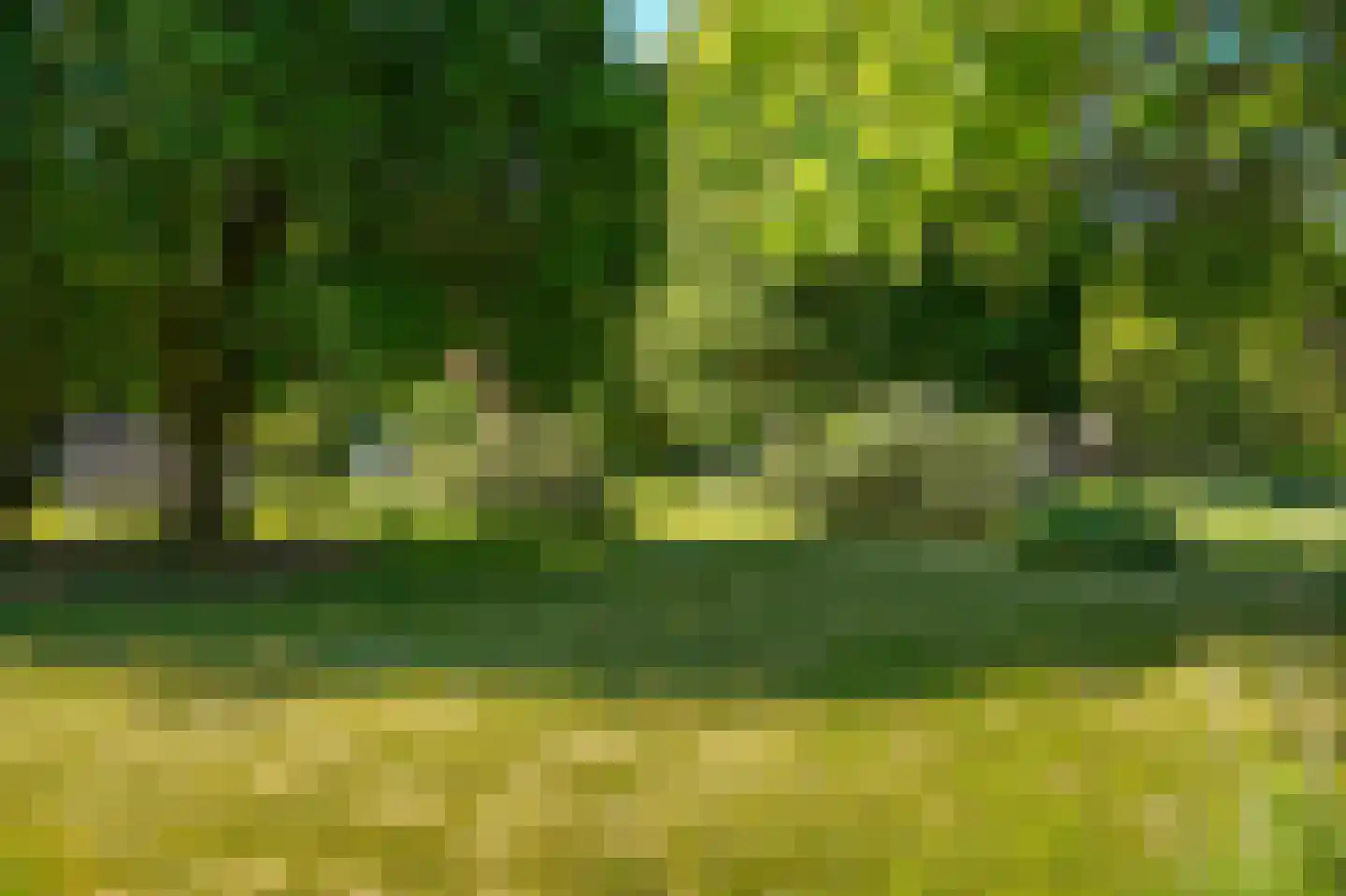 Dortherweg 39 Epse thumbnail 42