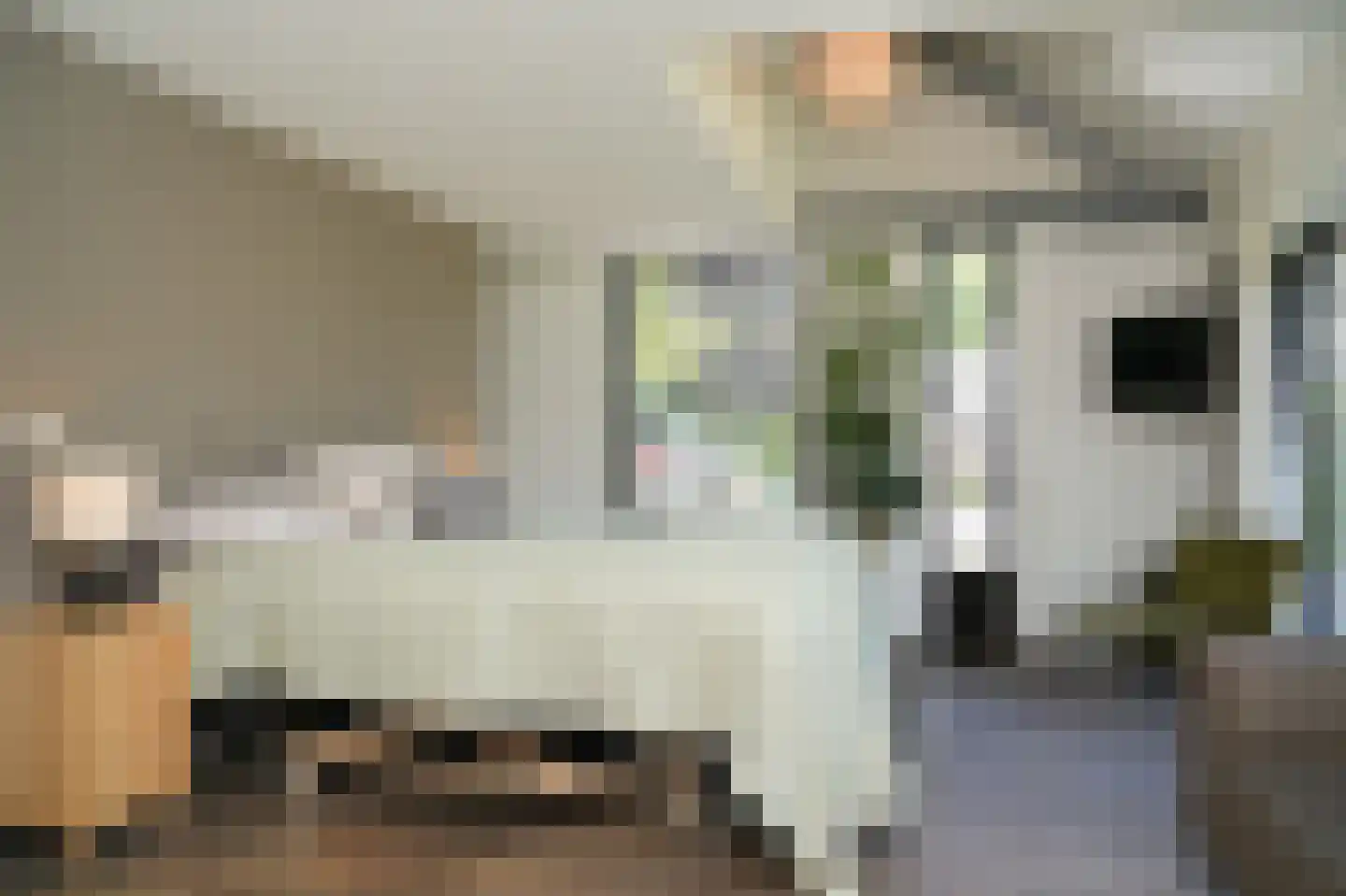 Dortherweg 39 Epse thumbnail 54