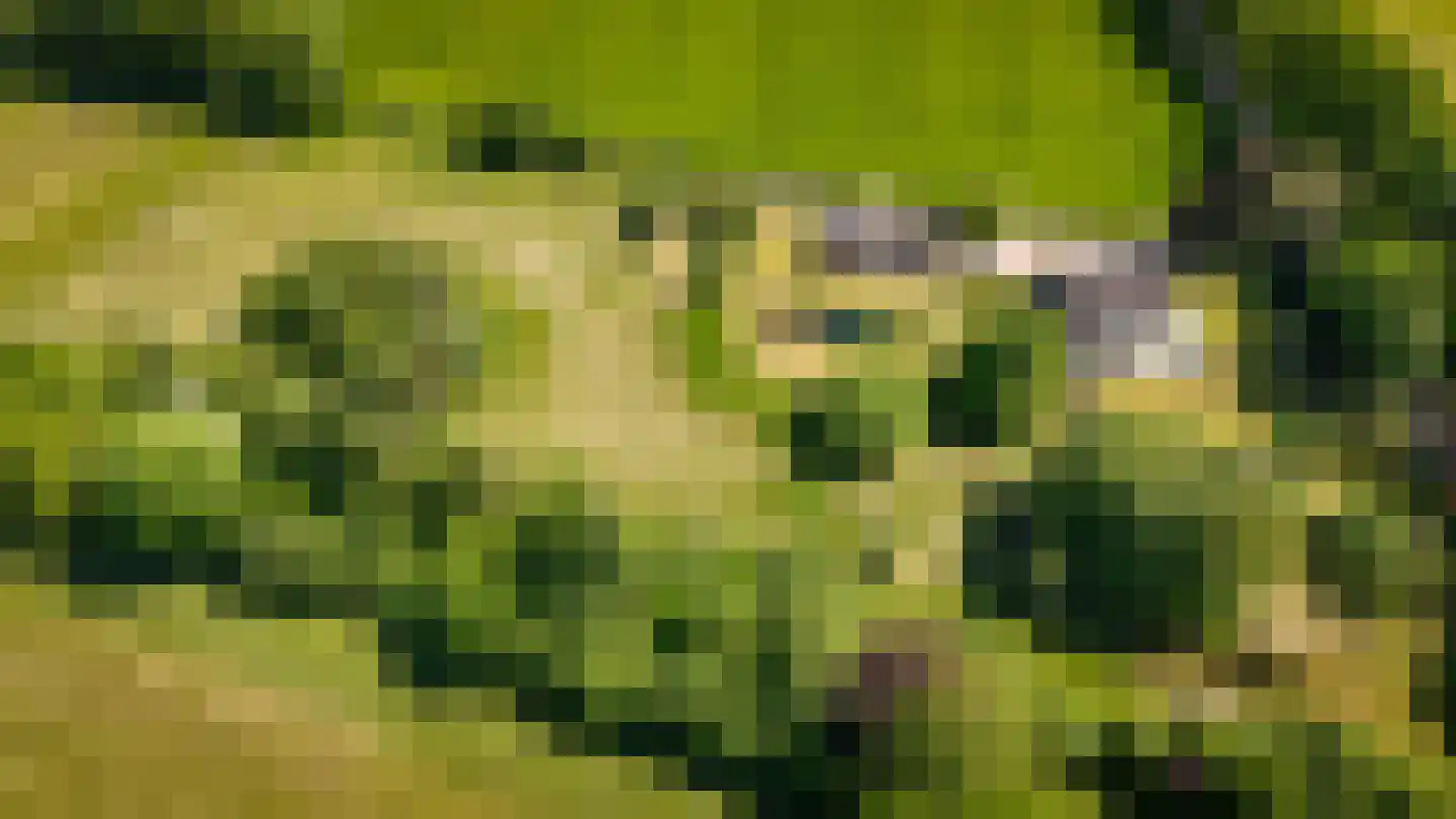 Dortherweg 39 Epse thumbnail 72