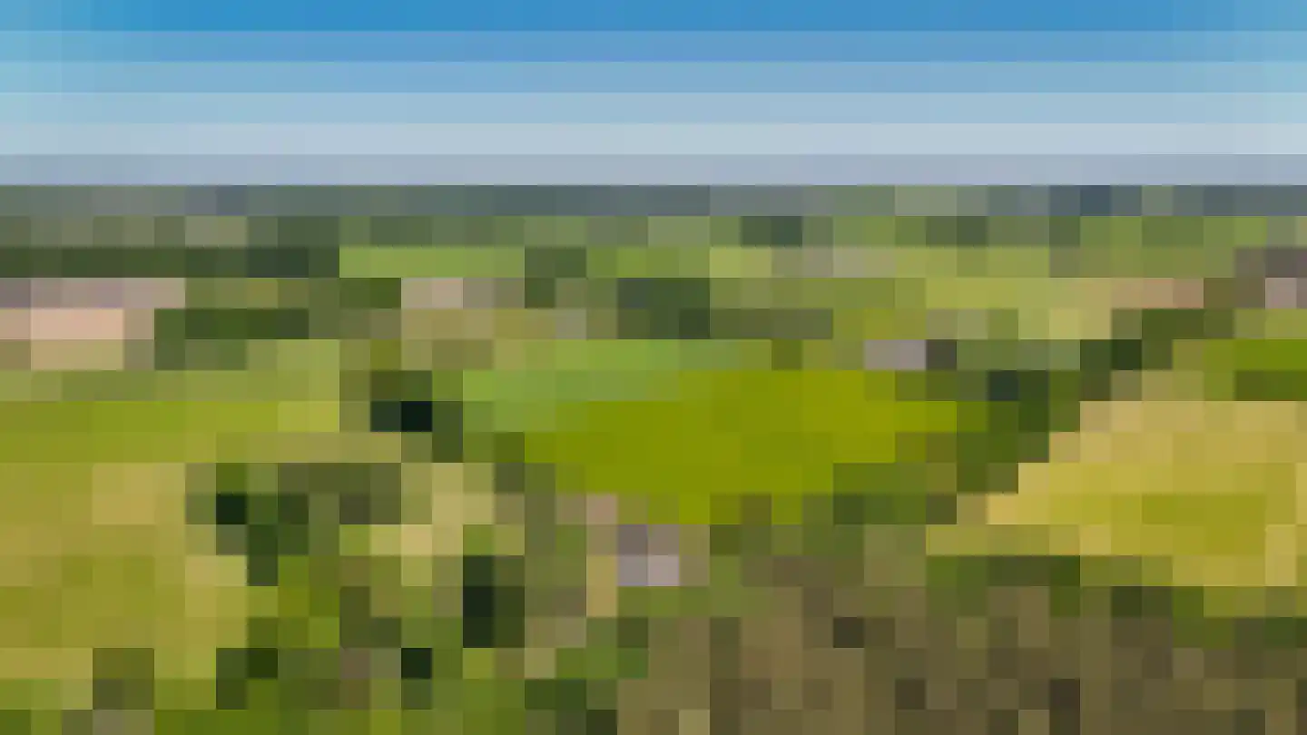 Dortherweg 39 Epse thumbnail 73
