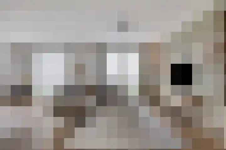 Dortmunderkade 6 Helmond thumbnail 12