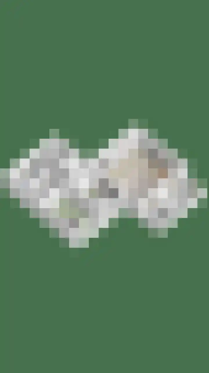 Dortmunderkade 6 Helmond thumbnail 46