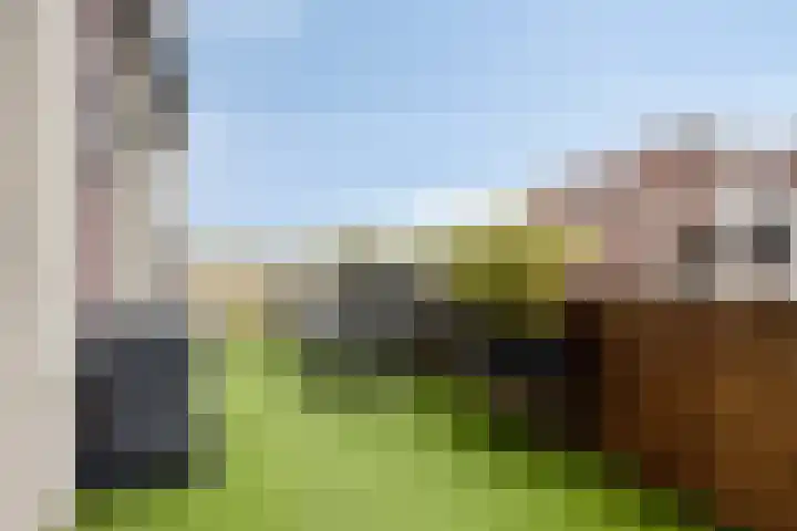 Dortmunderkade 6 Helmond thumbnail 6