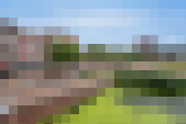 Dortmunderkade 9 Helmond thumbnail 27