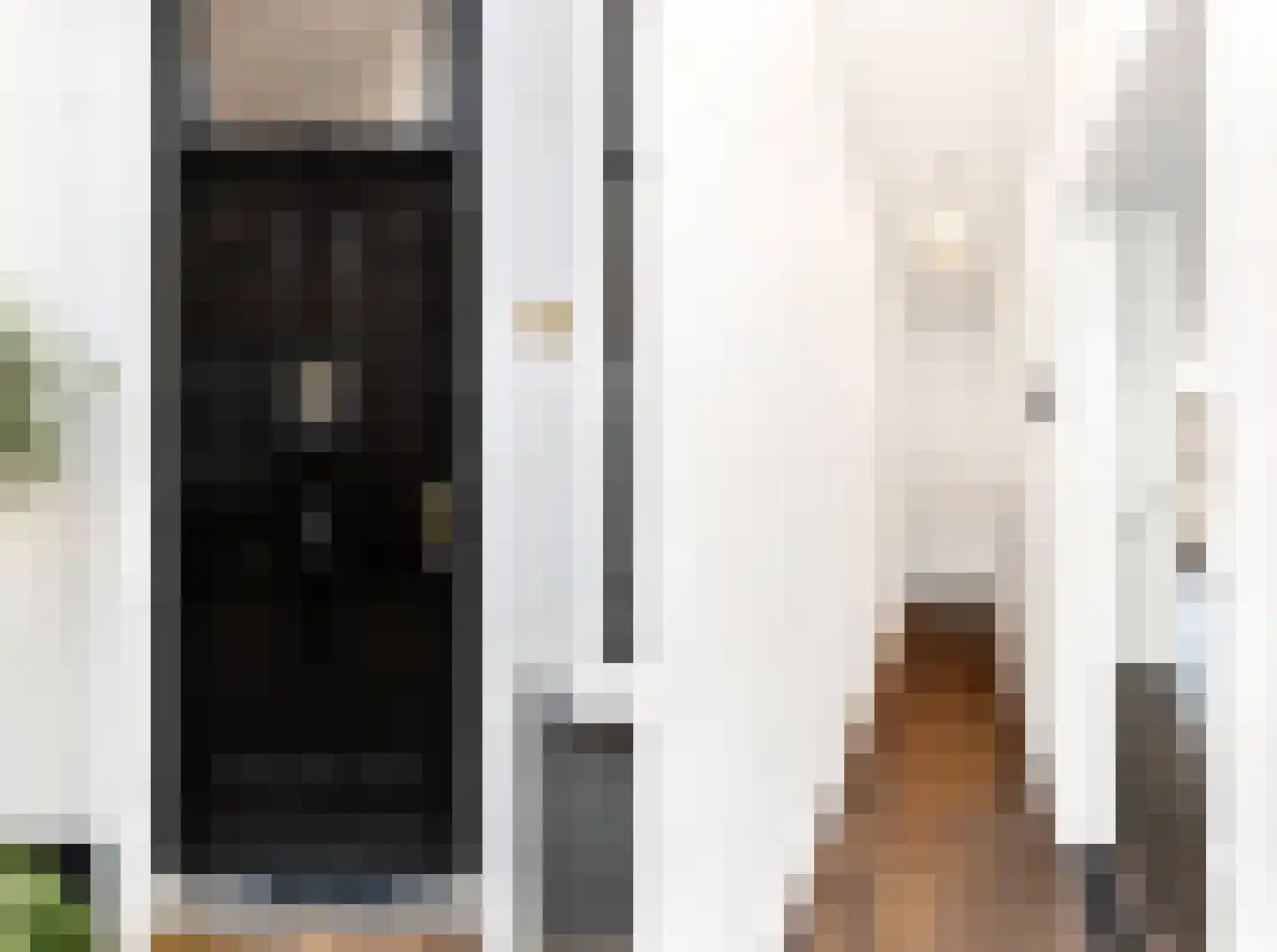 Dortsmansstraat 6 Vlissingen thumbnail 19