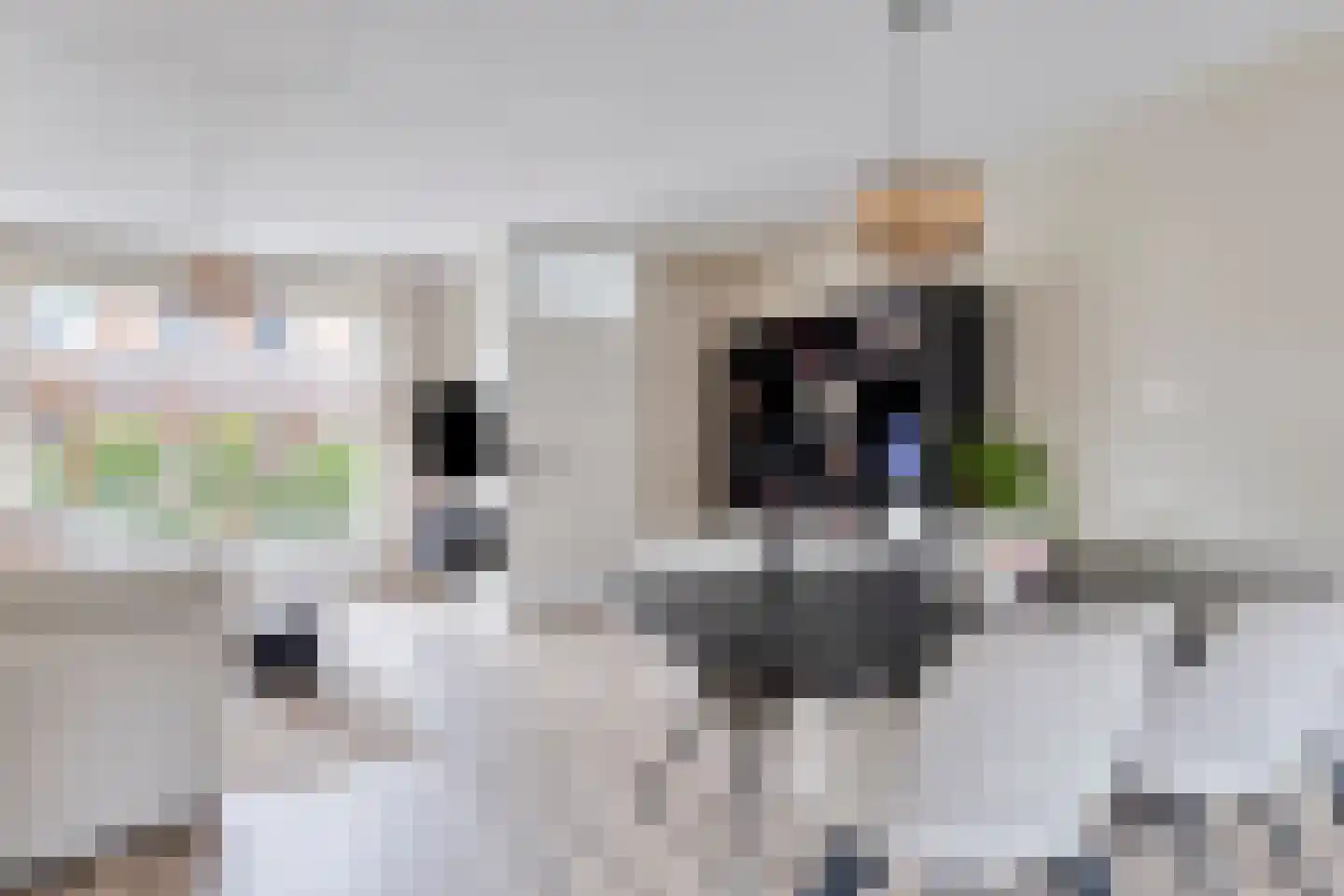 Dortsmanstraat 31 Lewedorp thumbnail 10