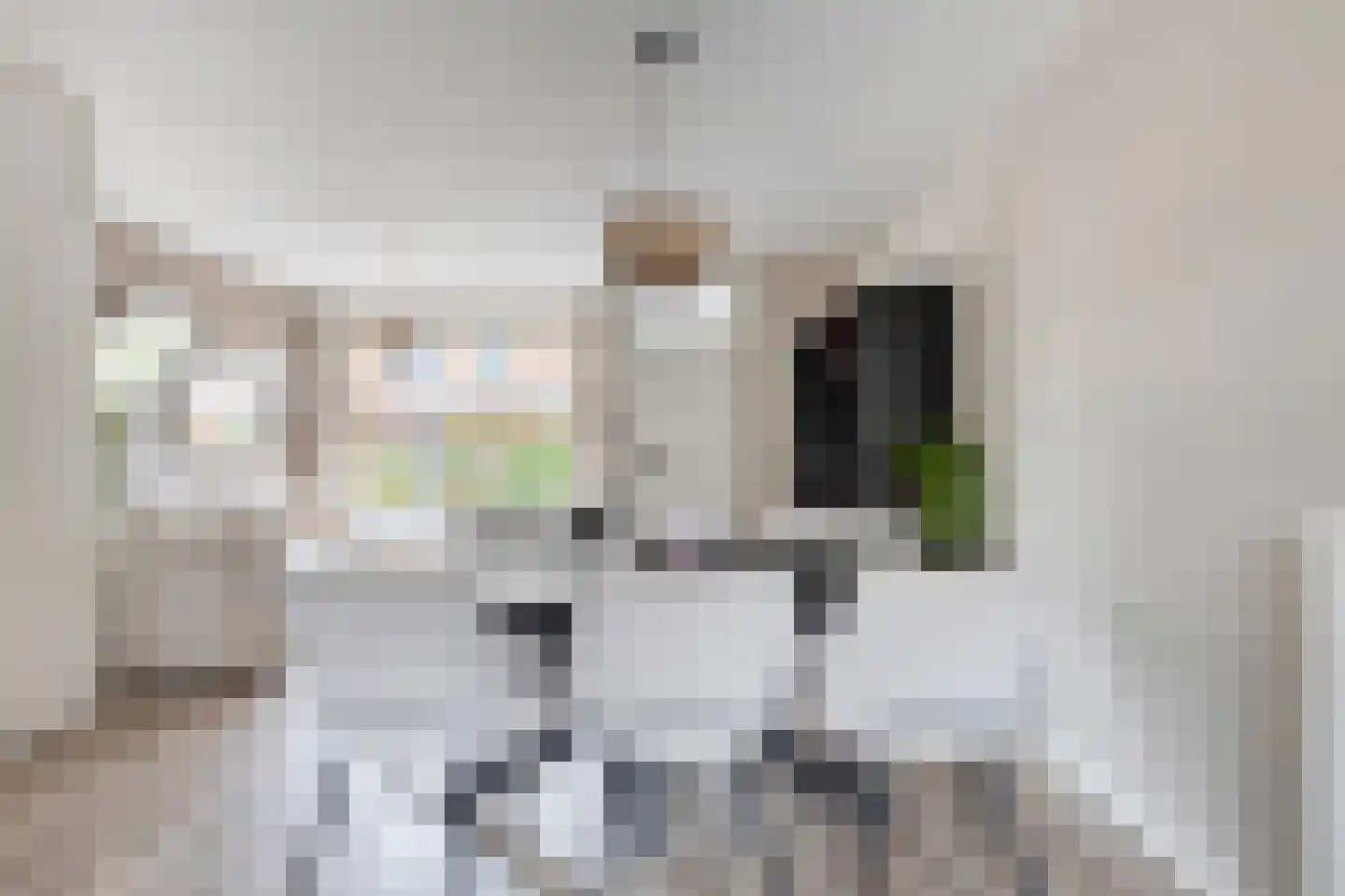 Dortsmanstraat 31 Lewedorp thumbnail 11