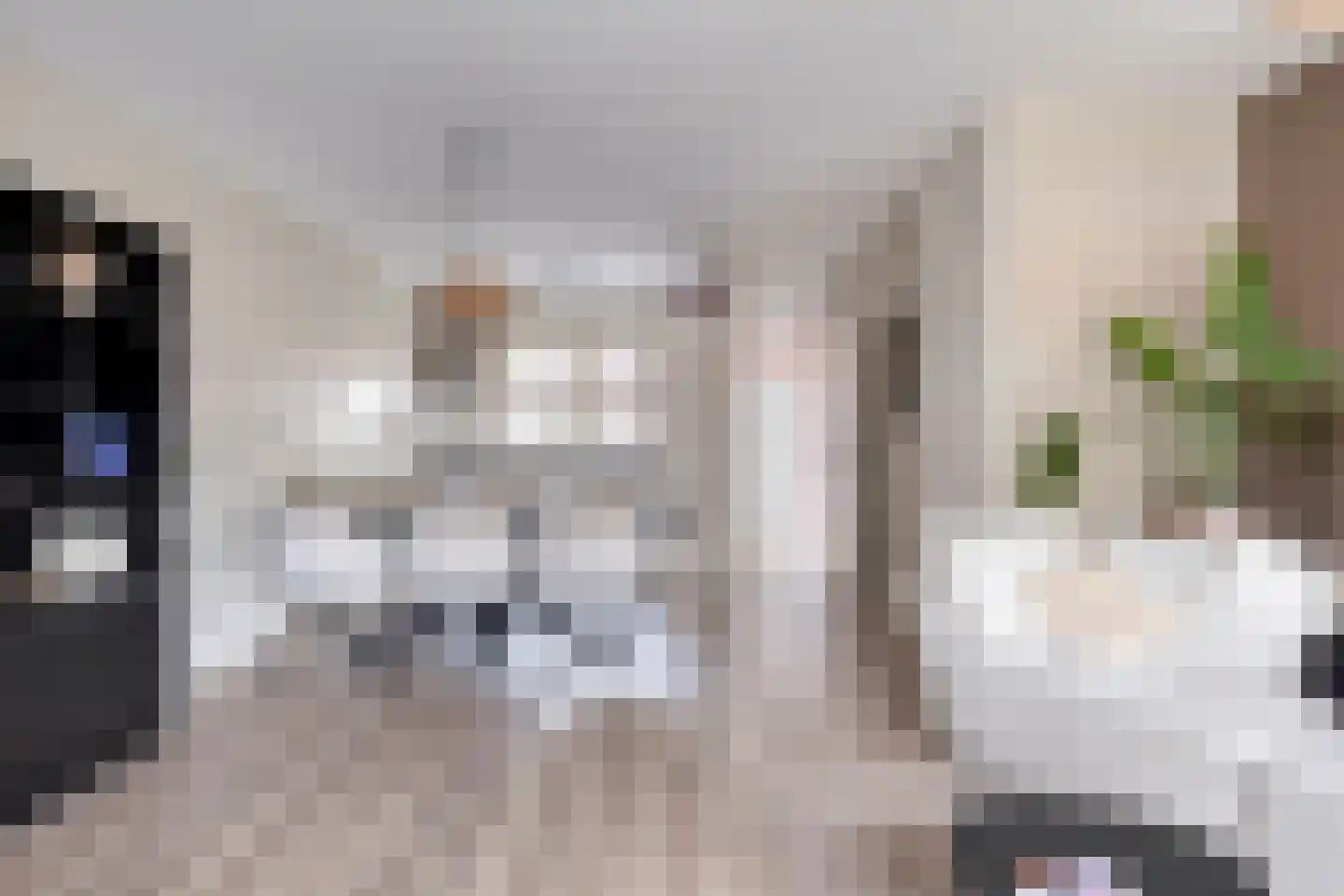 Dortsmanstraat 31 Lewedorp thumbnail 8
