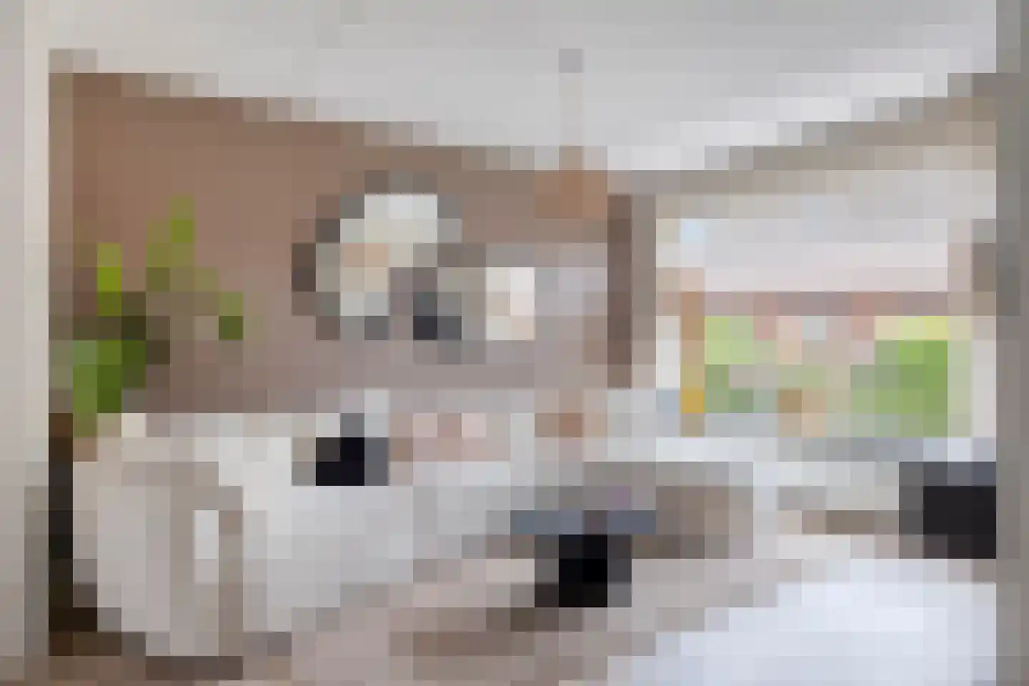 Dortsmanstraat 31 Lewedorp thumbnail 9