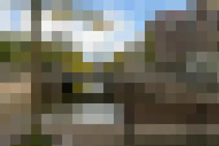 Dorus Rijkersplein 17 Den Haag thumbnail 29