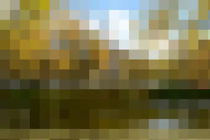 Dorus Rijkersplein 17 Den Haag thumbnail 30