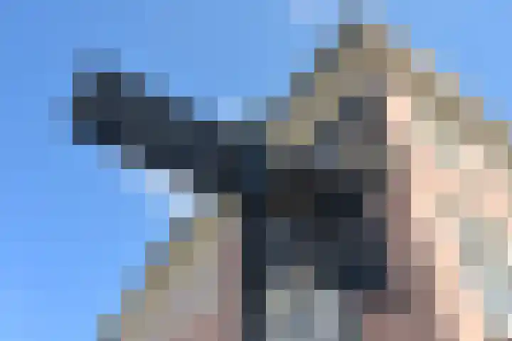 Dorus Rijkersplein 17 Den Haag thumbnail 31