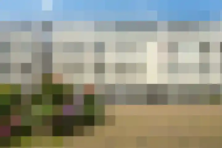 Dorus Rijkersplein 17 Den Haag thumbnail 8