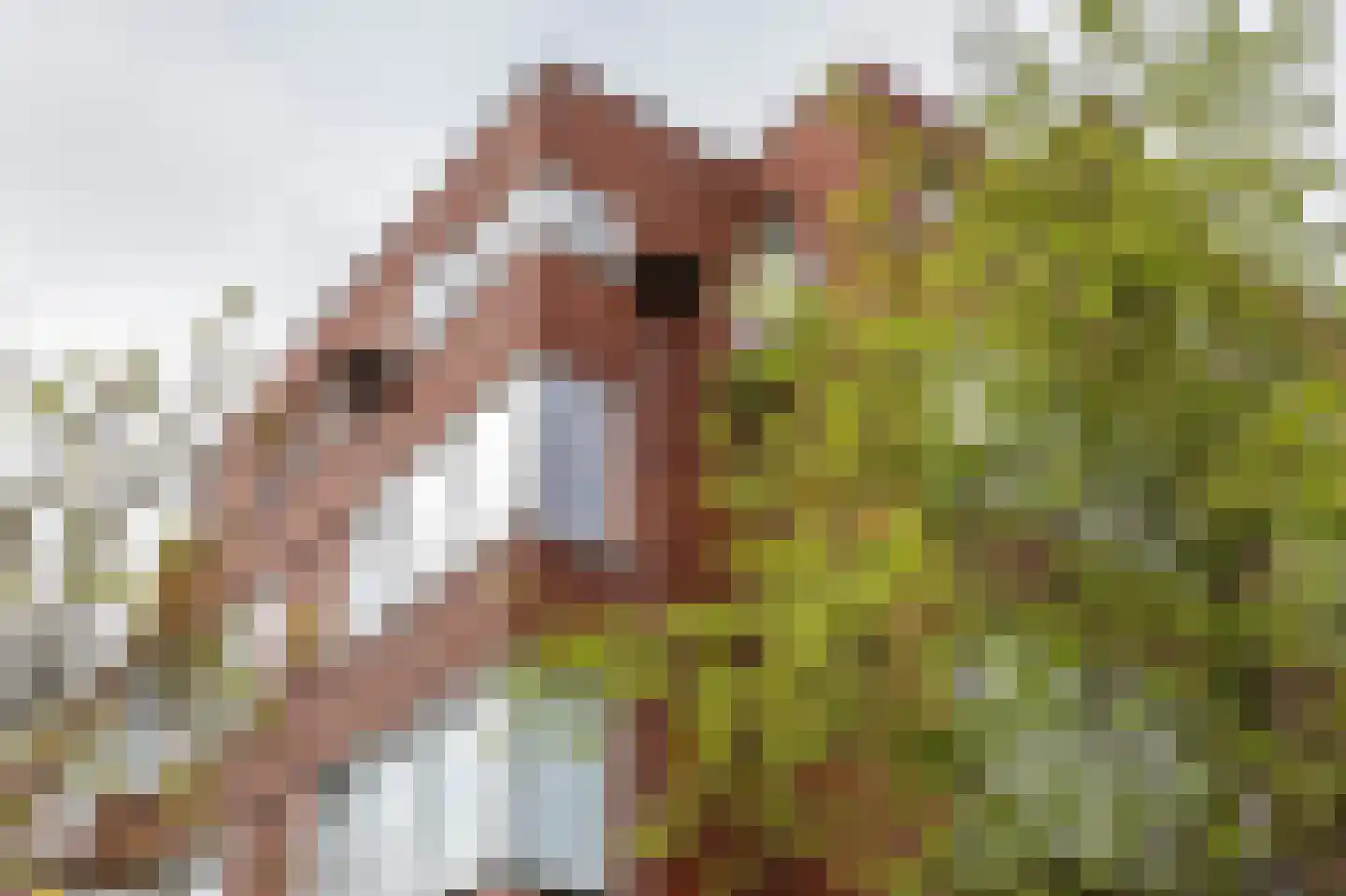 Dorus Rijkersstraat 1 a Groningen thumbnail 6