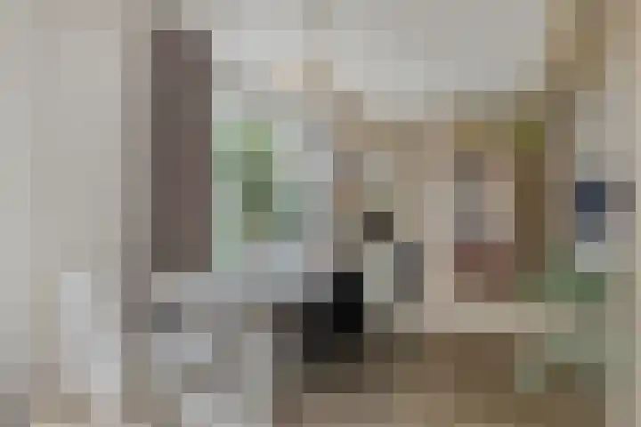 Dorus Rijkersstraat 1 Dinteloord thumbnail 11