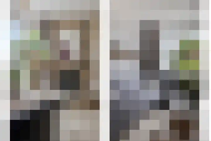 Dorus Rijkersstraat 1 Dinteloord thumbnail 12