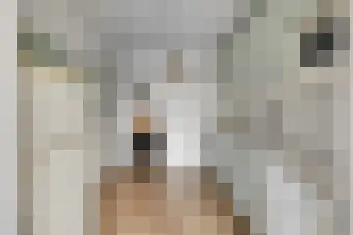 Dorus Rijkersstraat 1 Dinteloord thumbnail 14