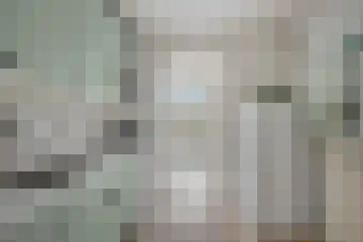 Dorus Rijkersstraat 1 Dinteloord thumbnail 16