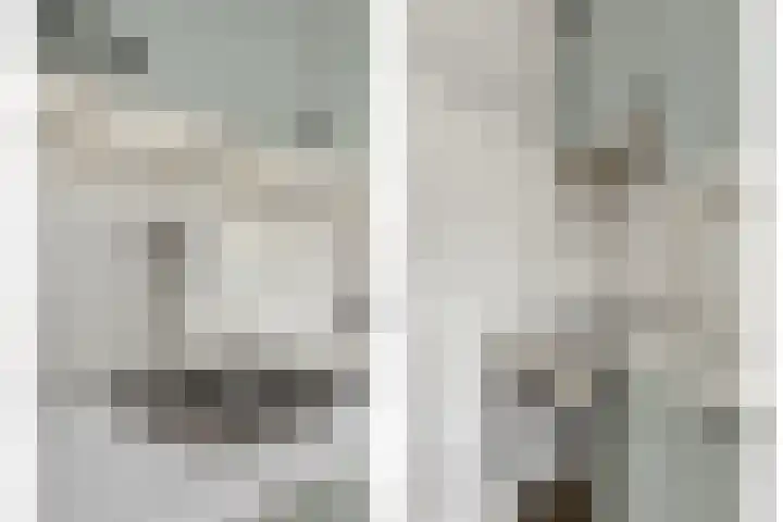 Dorus Rijkersstraat 1 Dinteloord thumbnail 17
