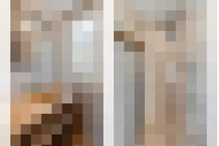 Dorus Rijkersstraat 1 Dinteloord thumbnail 25