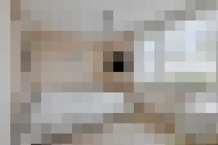 Dorus Rijkersstraat 1 Dinteloord thumbnail 26