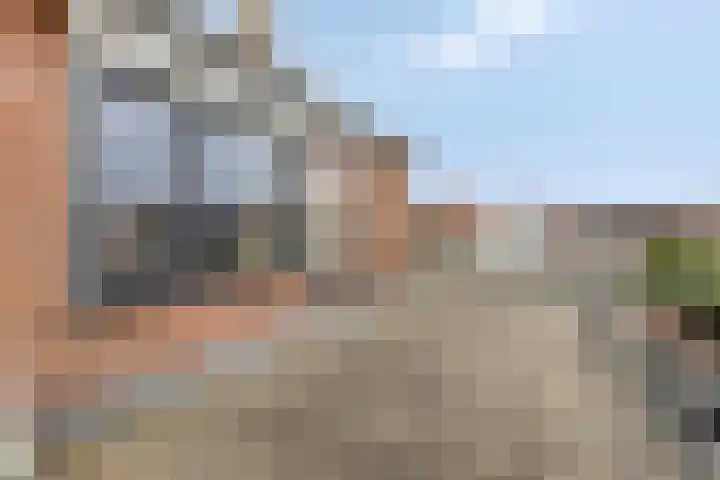 Dorus Rijkersstraat 1 Dinteloord thumbnail 30