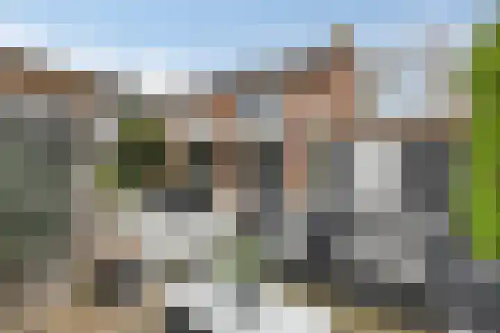 Dorus Rijkersstraat 1 Dinteloord thumbnail 38