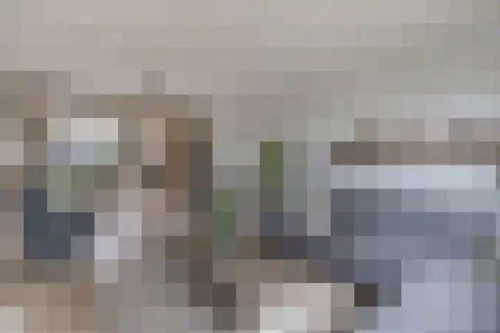Dorus Rijkersstraat 1 Dinteloord thumbnail 4