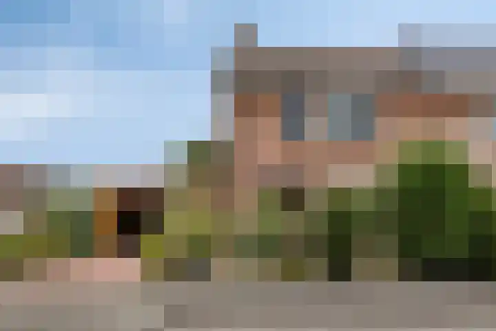Dorus Rijkersstraat 1 Dinteloord thumbnail 44