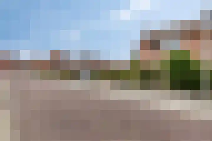 Dorus Rijkersstraat 1 Dinteloord thumbnail 45