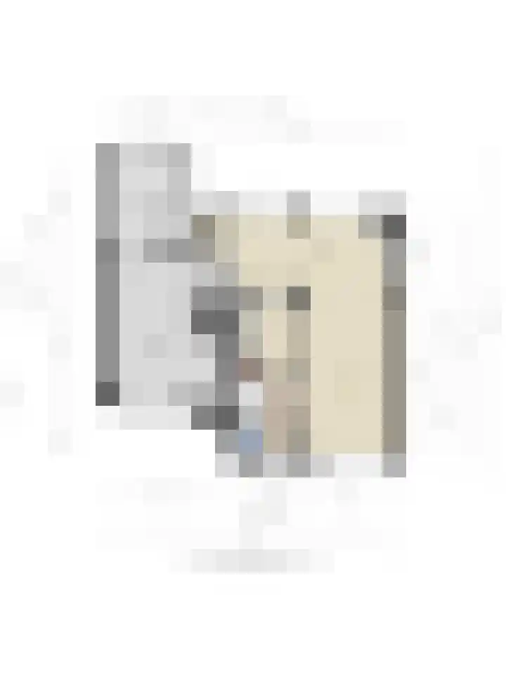 Dorus Rijkersstraat 1 Dinteloord thumbnail 46