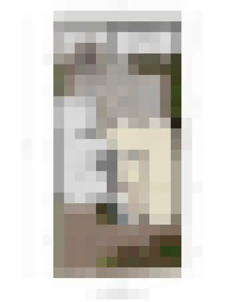 Dorus Rijkersstraat 1 Dinteloord thumbnail 49