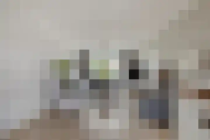 Dorus Rijkersstraat 1 Dinteloord thumbnail 5